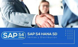 SAP S/4 HANA SD