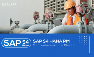SAP S/4 HANA PM